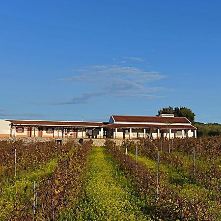 Turismo Rural Pedremoura Vila Ruiva (Beja) Exterior foto