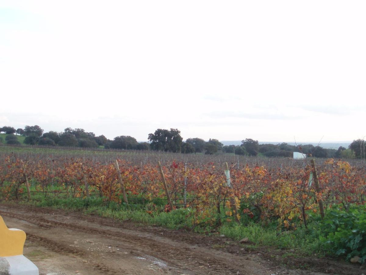 Turismo Rural Pedremoura Vila Ruiva (Beja) Exterior foto